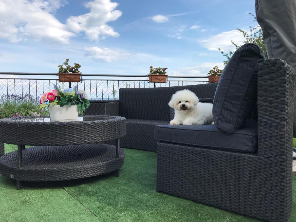 Apartman Nicole Moscenicka Draga Bagian luar foto